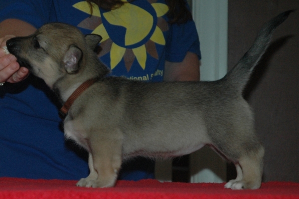 Zhora 6 weeks